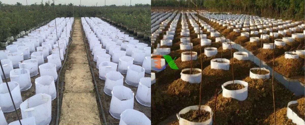 Ứng dụng của vải địa