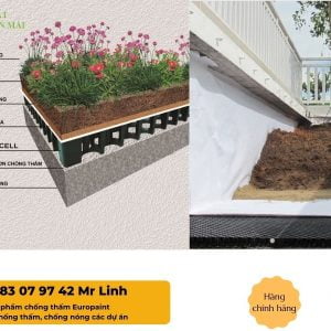 MẶT CẮT MÔ HÌNH TRỒNG CÂY