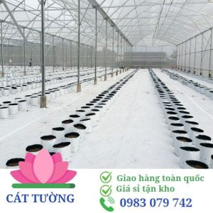 Ứng dụng vải địa kỹ thuật trong nông nghiệp