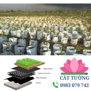 Vải địa kỹ thuật là gì và lợi ích trong nông nghiệp