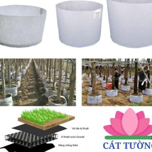 Vải địa kỷ thuật trồng cây giá rẻ