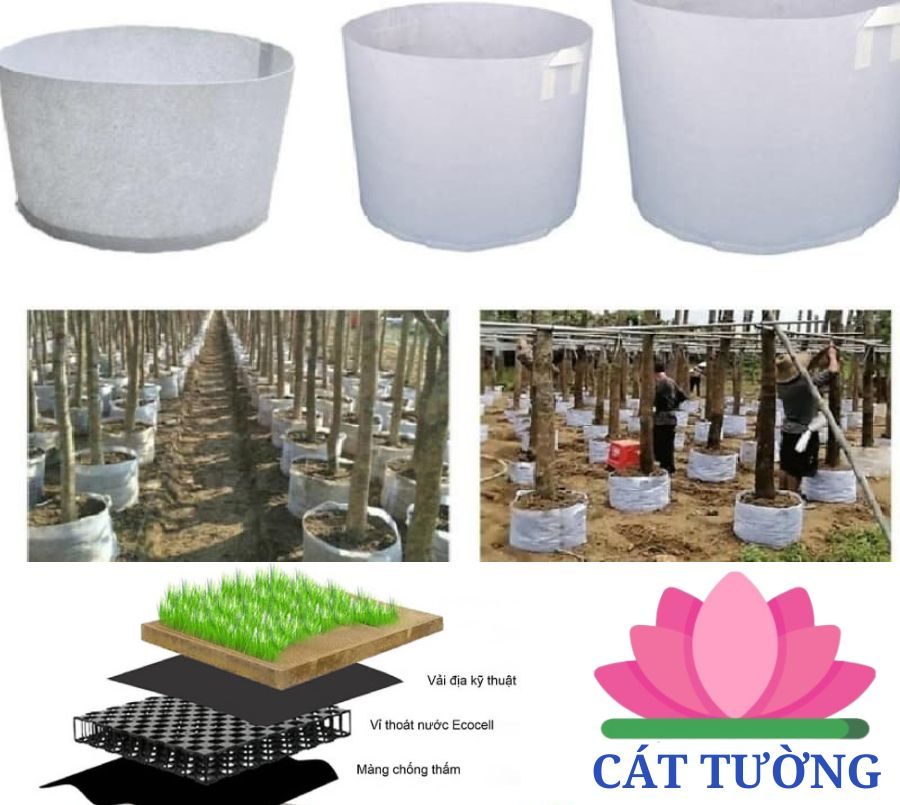 Vải địa kỷ thuật trồng cây giá rẻ