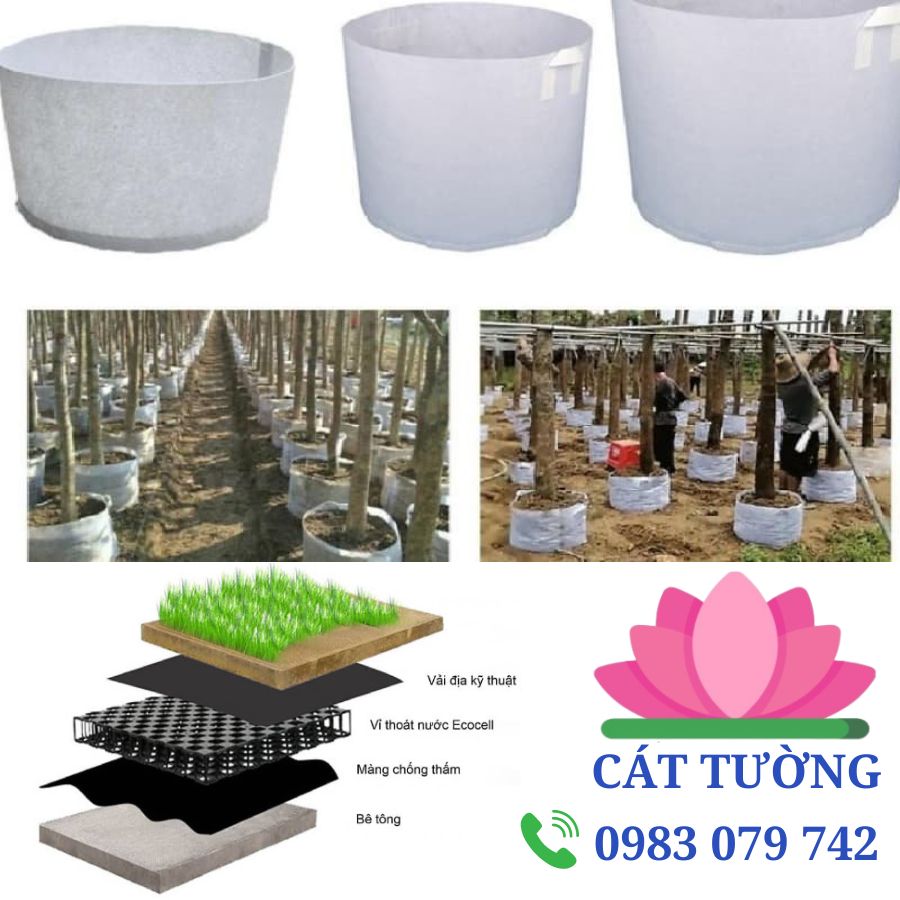 Mô hình ươm trồng cây hiện đại