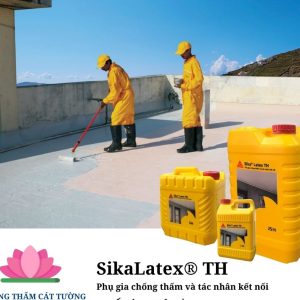 Hướng dẫn thi công Sika Latex